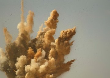 Falcon Air Meet 2010