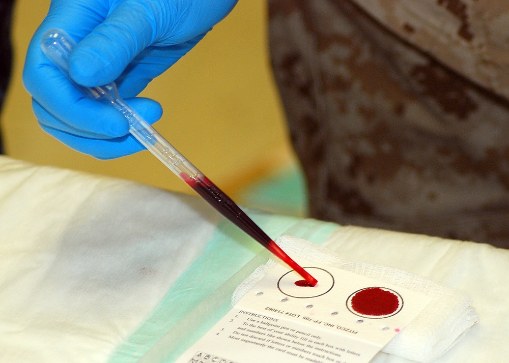 Sailor works with DNA