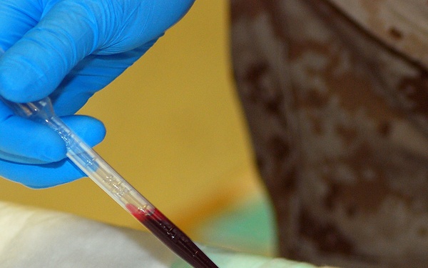 Sailor works with DNA