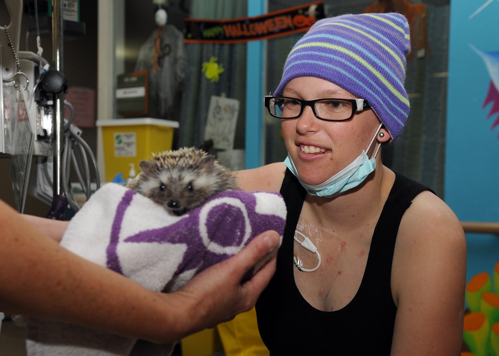San Diego Zoo Animals Visits Pediatric Ward at NMCSD