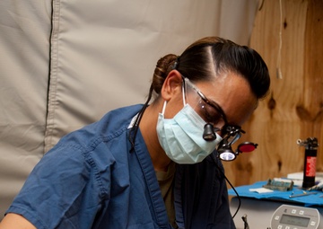 Dental Detachment Performs Root Canal on K-9s