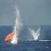 Coast Guard Tactical Law Enforcement, Det. 404 training