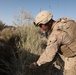 Bridge Marines gather valuable information during recon mission