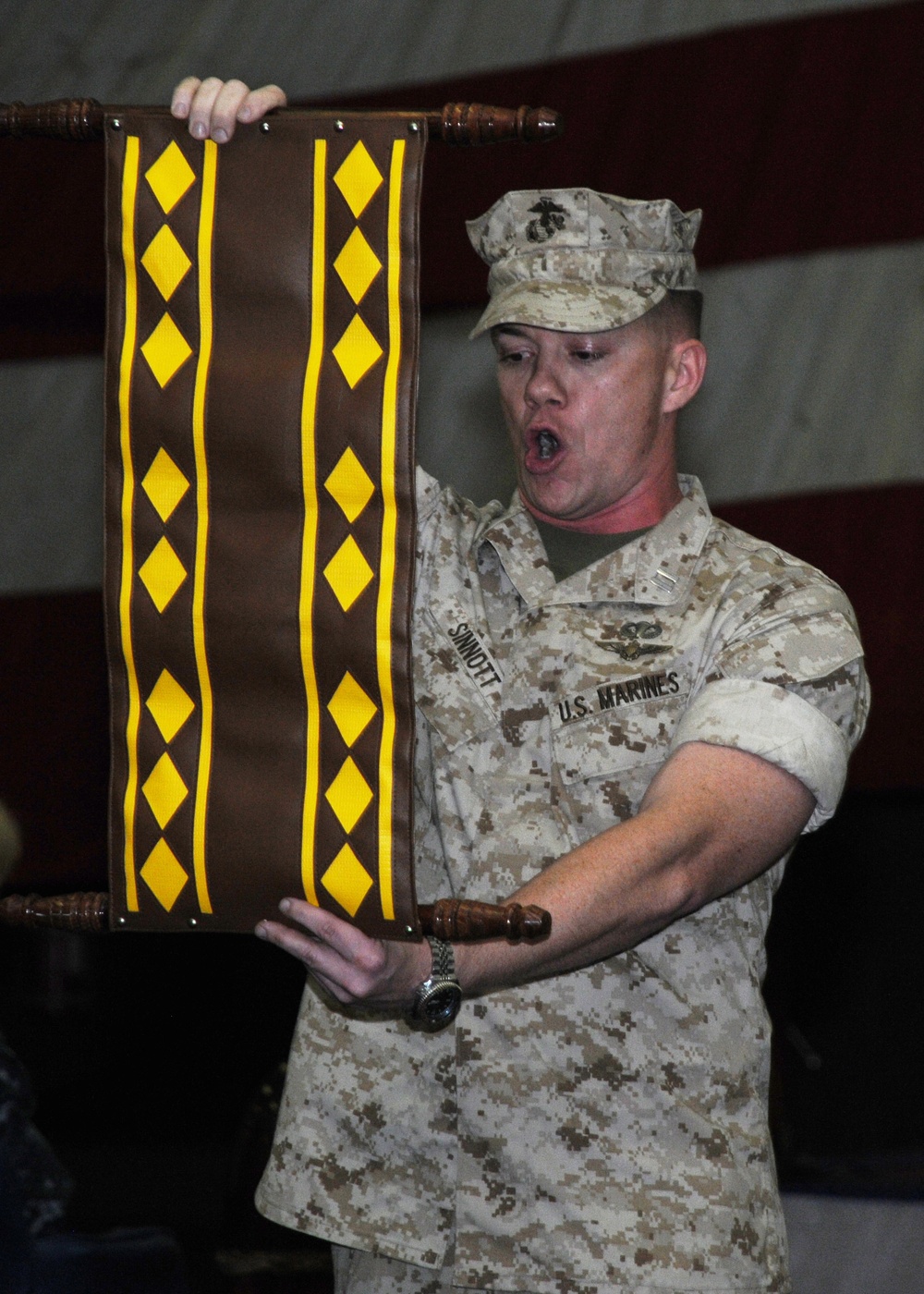 USS Ronald Reagan Action