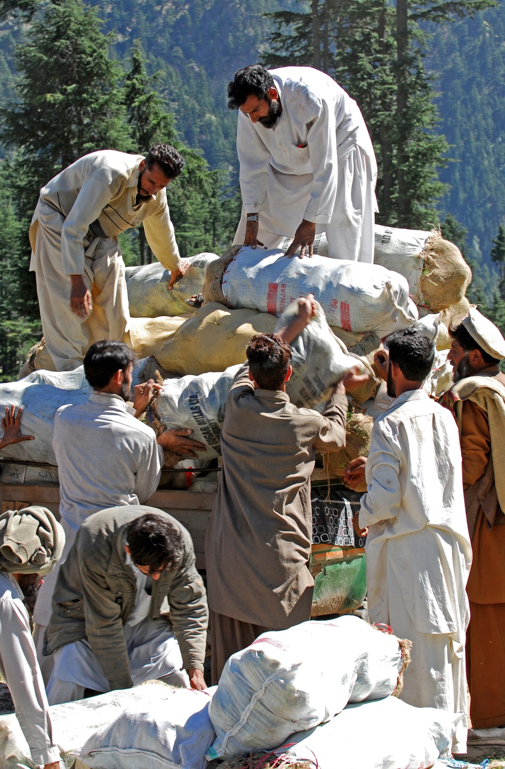 'Sugar Bears' in Pakistan, on 'flight' and 'helping people'