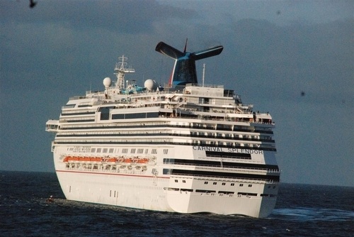 Cruise Ship Splendor