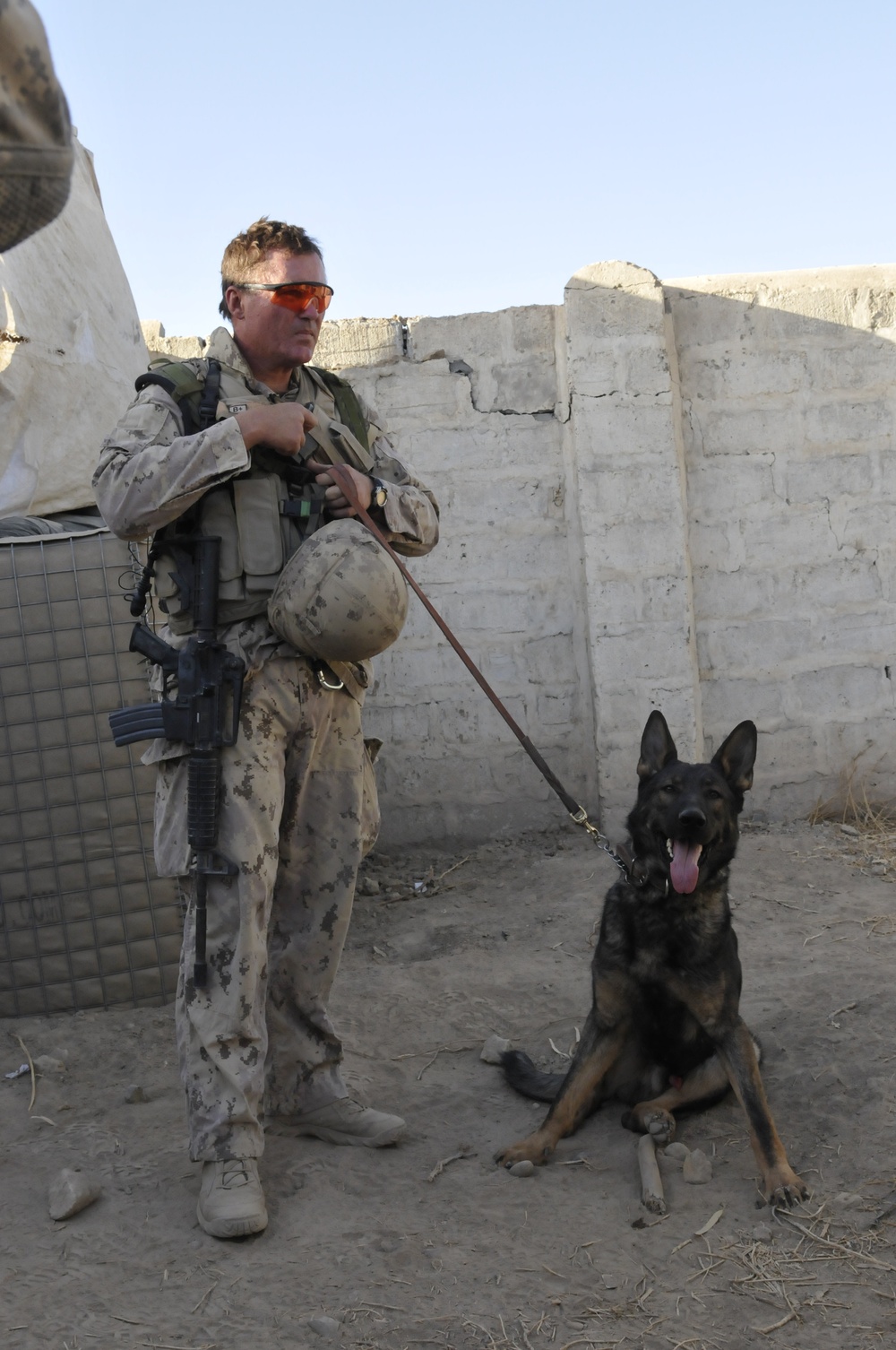 Explosive Detection Dogs invaluable asset to coalition forces in Afghanistan