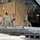 'Port Dogs' keep cargo moving