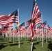 1st MLG Marines support Murrieta Veterans Day Parade