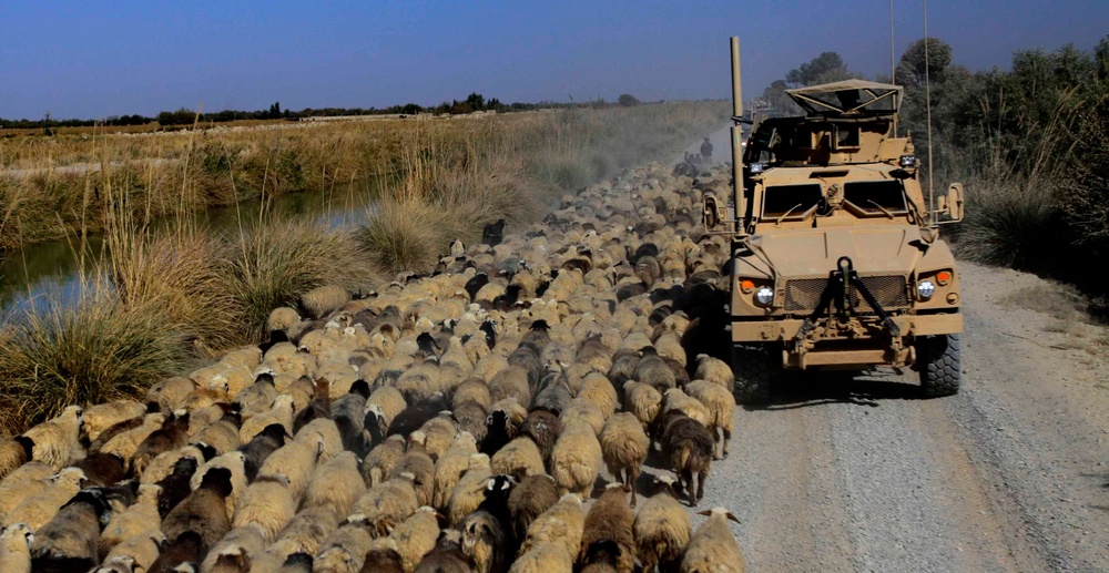 Serving to protect: Security Marines conduct operations in Afghanistan