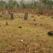 Sustainers Restore Cowley Cemetery