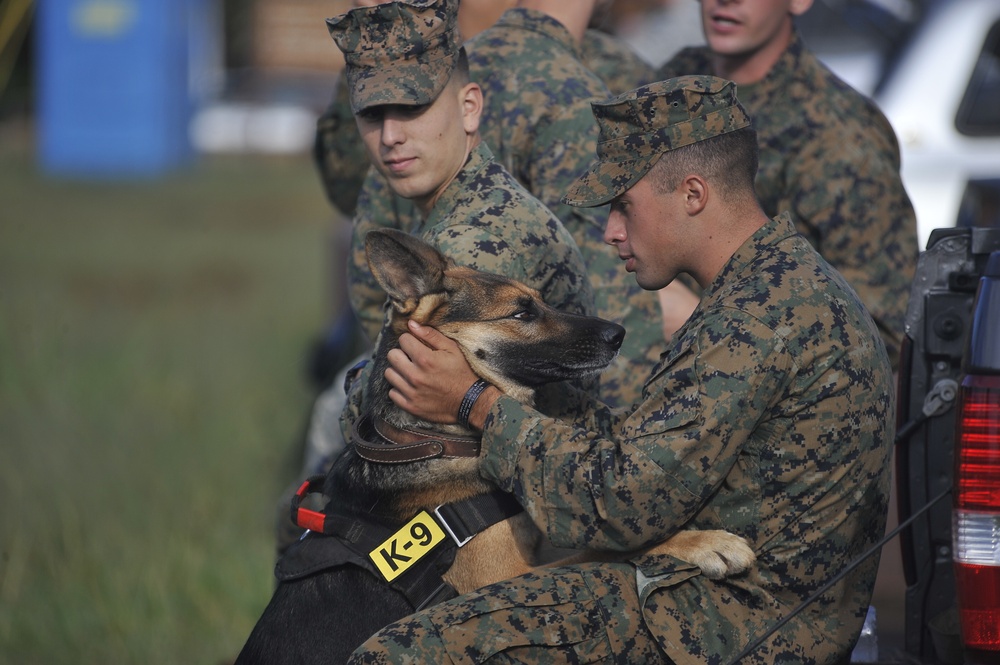 2010 Hawaiian Islands Working Dog Competition