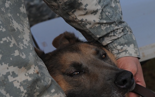 2010 Hawaiian Islands Working Dog Competition