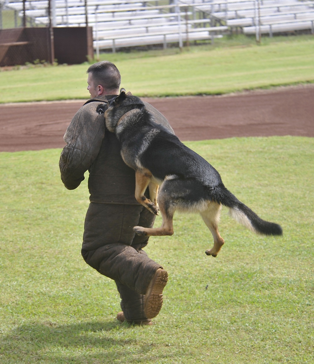 2010 Hawaiian Islands Working Dog Competition