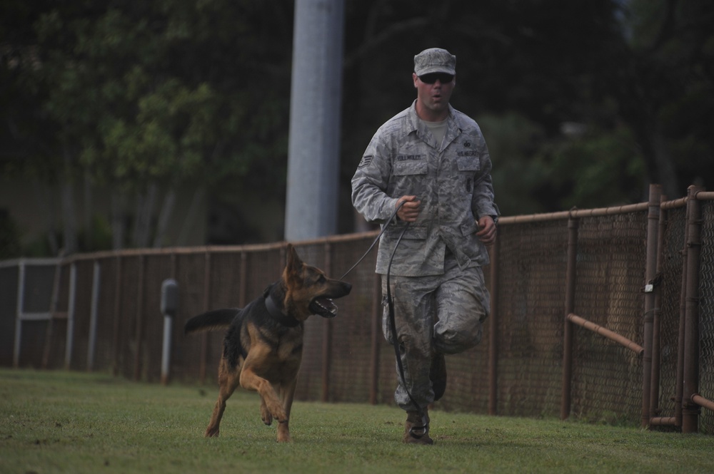 2010 Hawaiian Islands Working Dog Competition