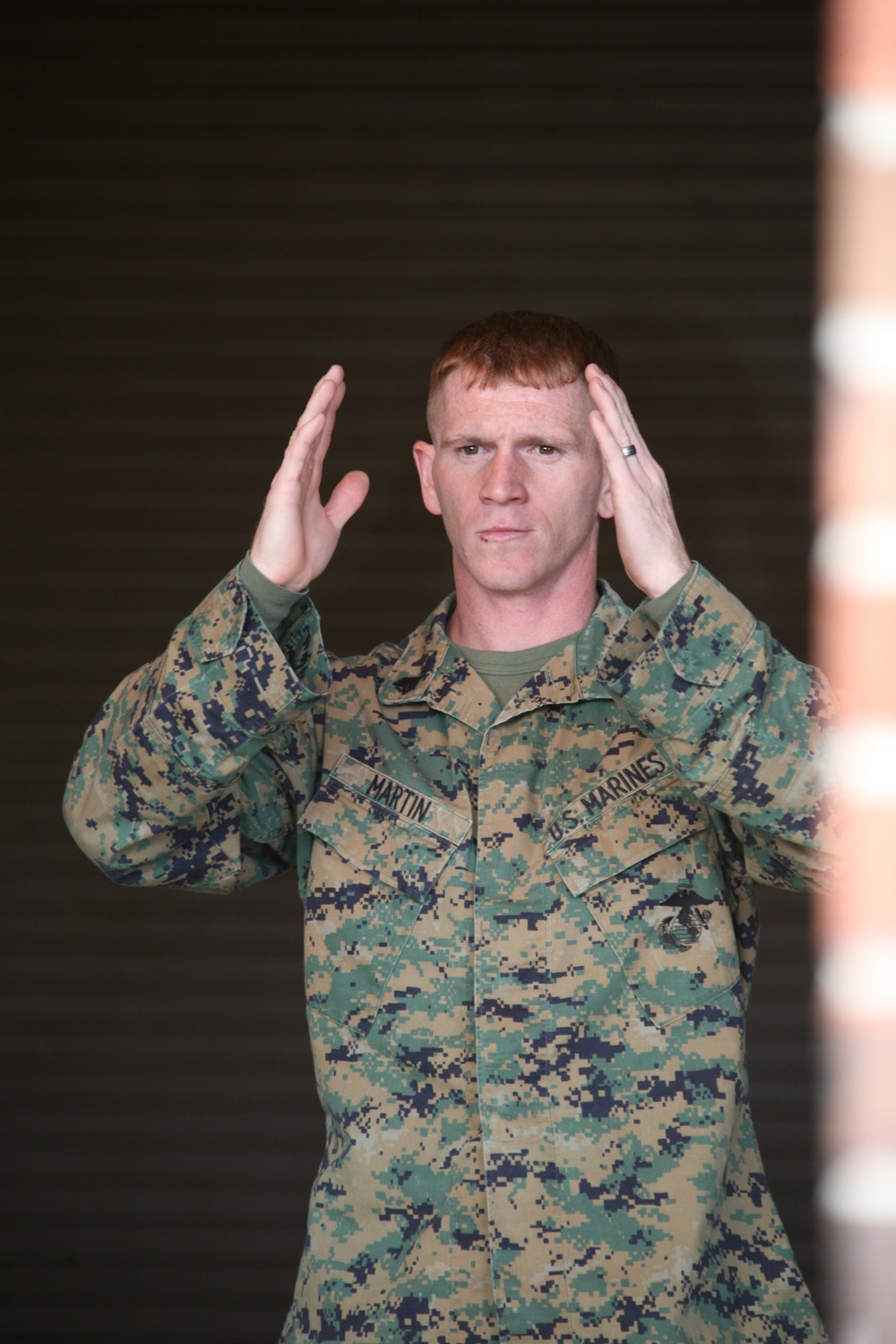 Fly by: Sgt. Arvil L. Martin