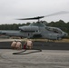 MCAS Cherry Point 2010 stock aircraft images