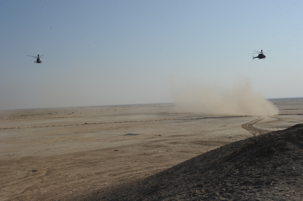 Air Assault Exercise