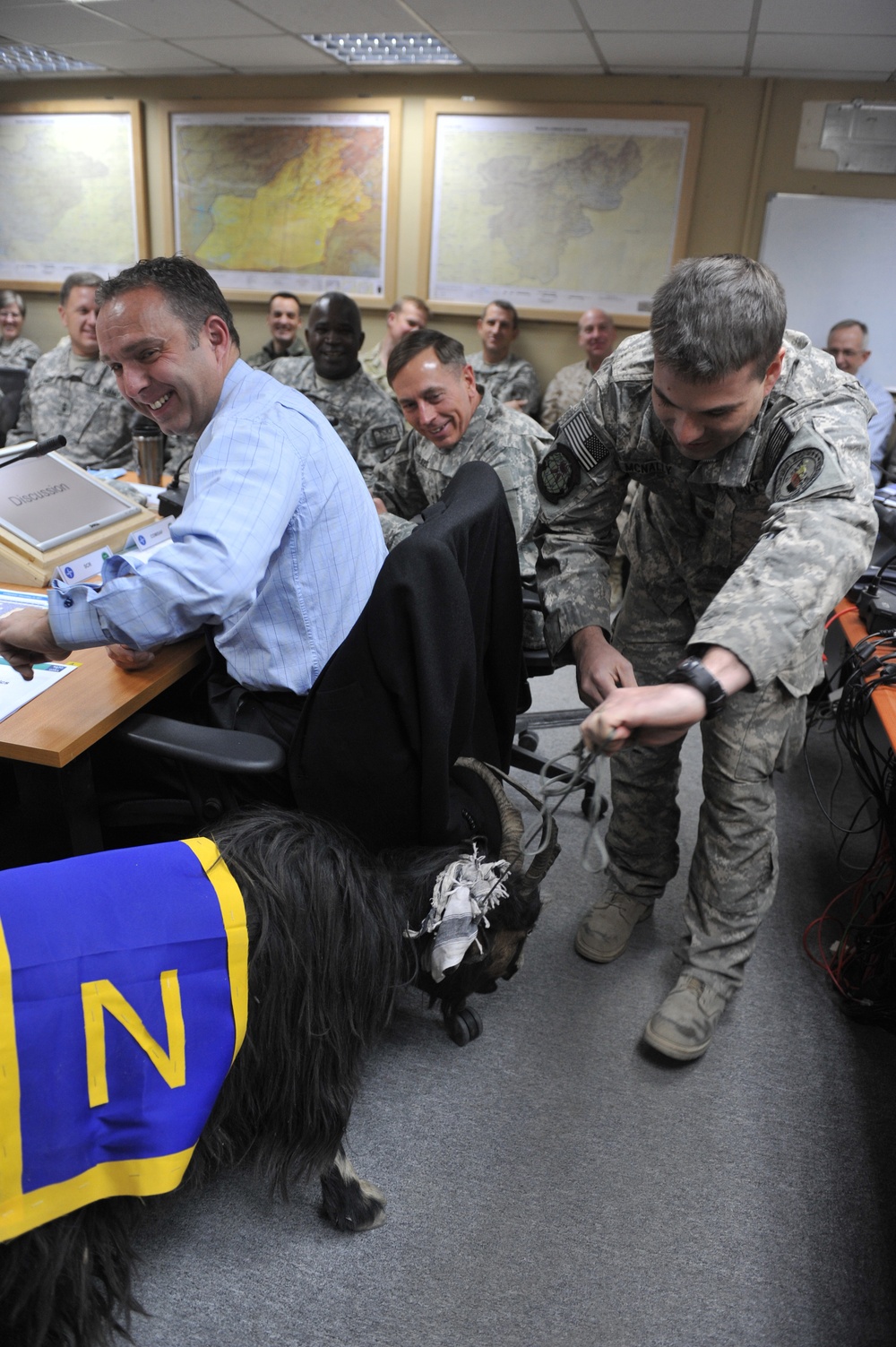 Goat in Afghanistan