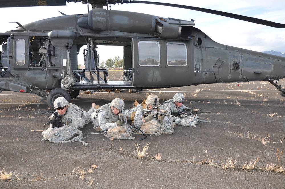 'Diamond Head' re-establishes ties with Infantry brethren during Air Assault Operation
