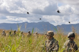 'Diamond Head' re-establishes ties with Infantry brethren during Air Assault Operation