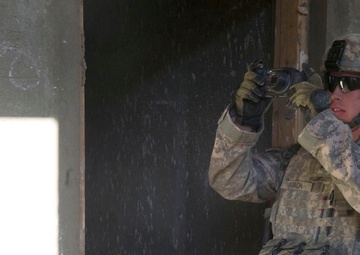 3AAB, 4th Infantry Inspect Building Projects