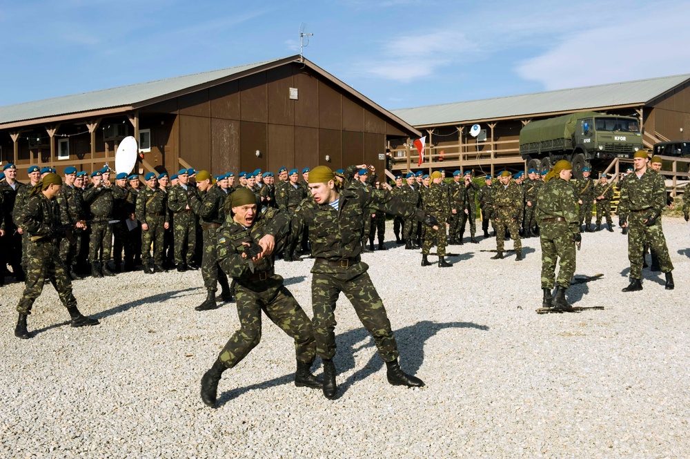MNBG-E celebrates Ukraine Armed Forces Day
