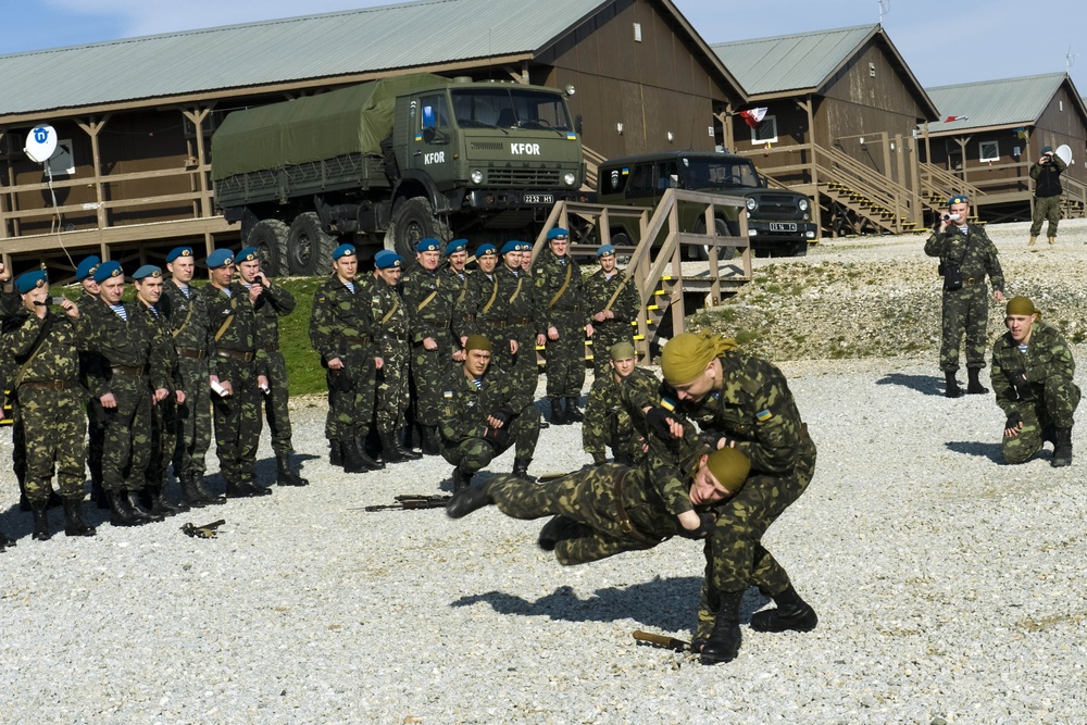 MNBG-E celebrates Ukraine Armed Forces Day