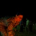 Troops celebrate holidays in Iraq with party, sporting events