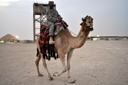 Camel Rides Invoke Culture Curiosity