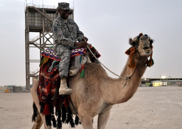 Camel Rides Invoke Culture Curiosity