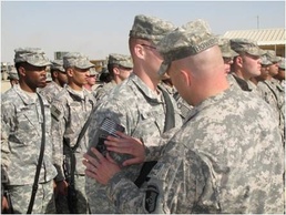 Stallions Receive Combat Patches