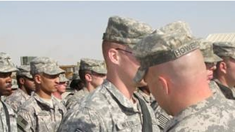 Stallions Receive Combat Patches