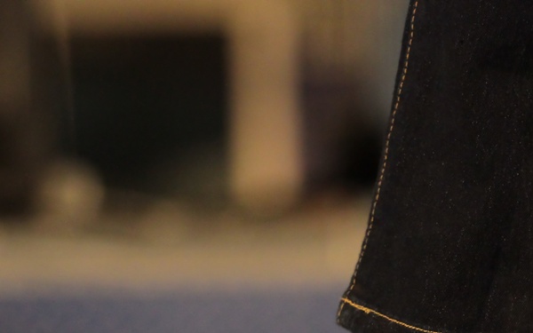 Sergeant Major of the Army's Hope and Freedom Tour 2010