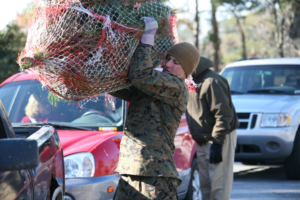 Cherry Point families receive free trees for holiday season