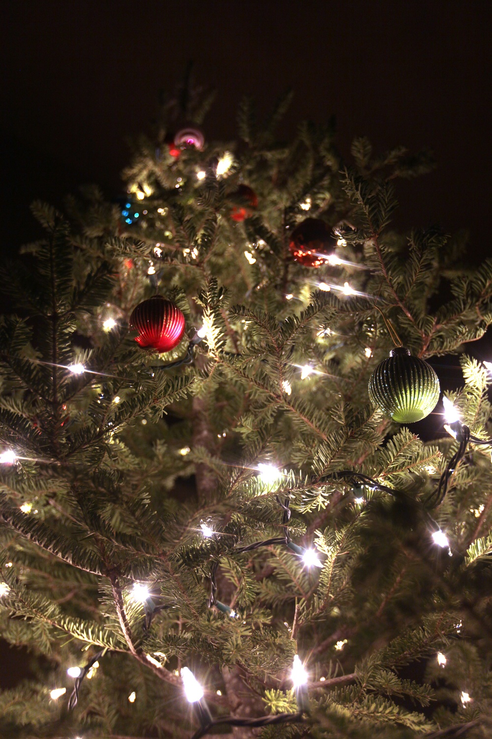 A touch of holiday spirit aboard Camp Leatherneck