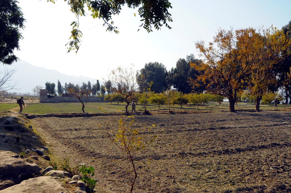Two acres, Eight farmers: a demo farm saga