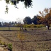 Two acres, Eight farmers: a demo farm saga