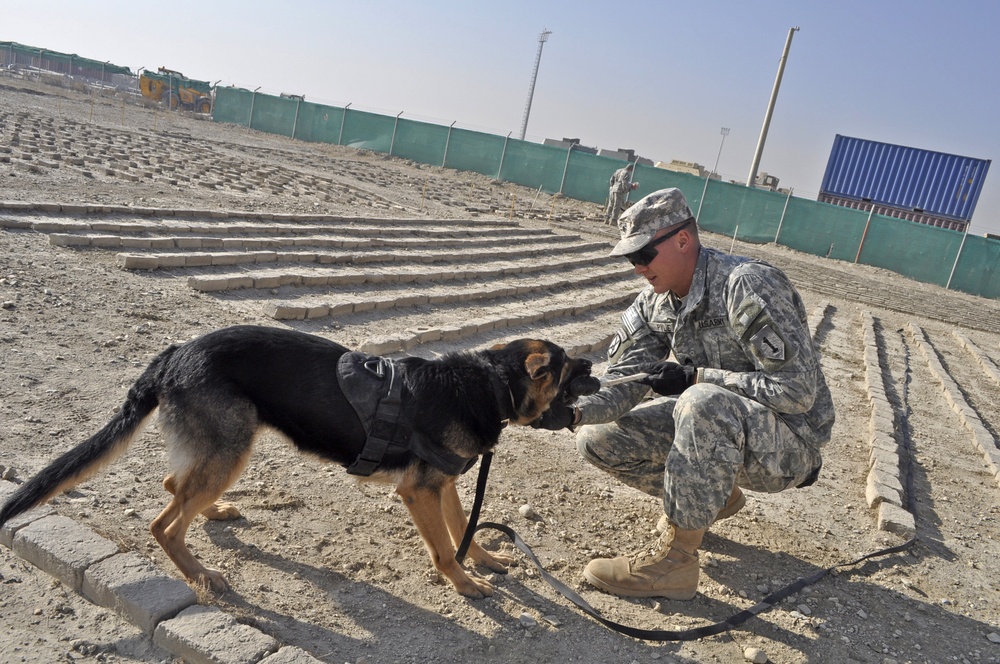 TF Dolch mine dog teams get ready for action