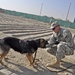 TF Dolch mine dog teams get ready for action