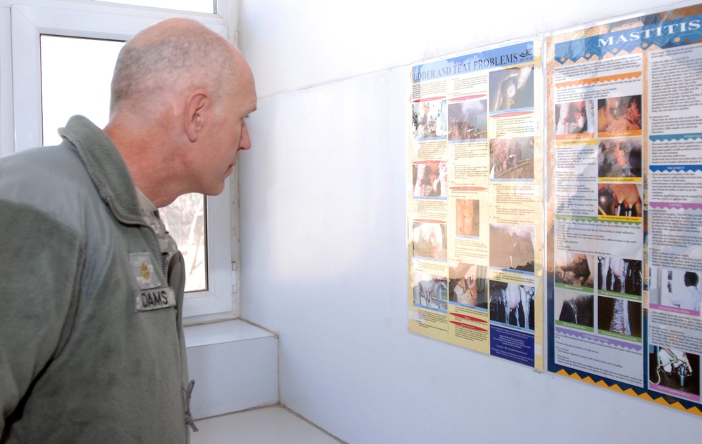 US veterinarians learn Afghan CV-RDL capabilities