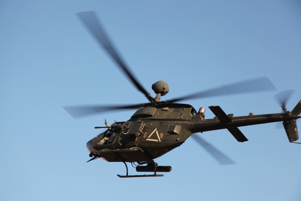 Operation Black Panther