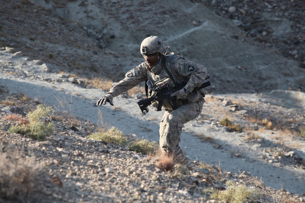 Operation Black Panther