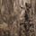 3/5 Marines fight to establish new patrol base 3/5 Marines fight to establish new patrol base