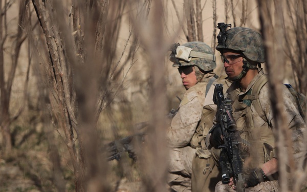3/5 Marines fight to establish new patrol base