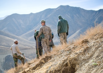 'Green belt' project