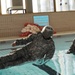 Security forces Airmen get wet to stay alive