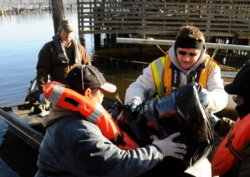 Clean up of oil products continues following N.C. marina fire