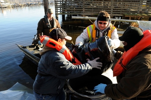 Clean up of oil products continues following N.C. marina fire