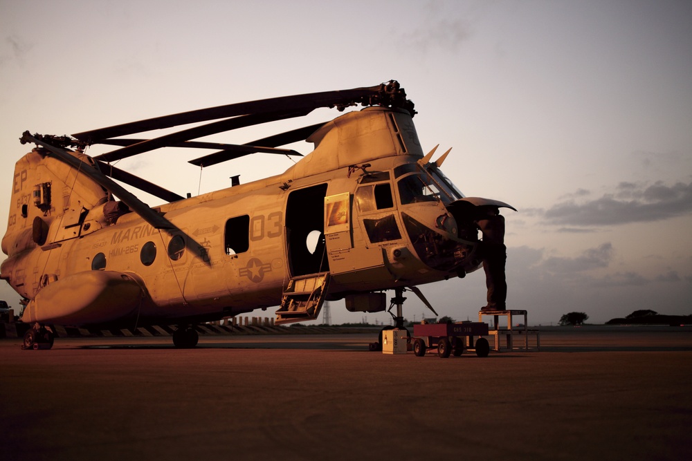 Inspections keep HMM-265 blades spinning